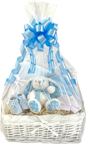 Bunny Baby Boy Gift Basket