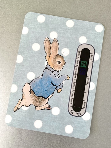 Peter Rabbit Room Thermometer - Blue Design
