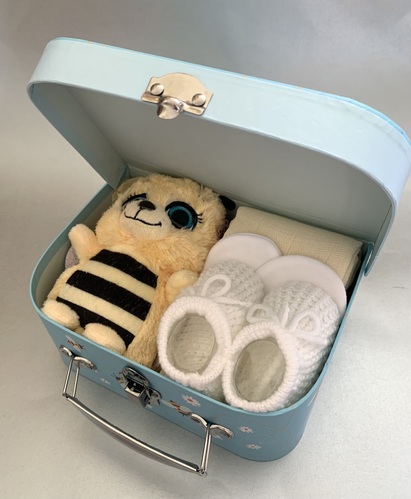 Bee Suitcase Gift- small