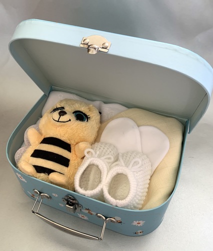 Bee Suitcase Gift- medium