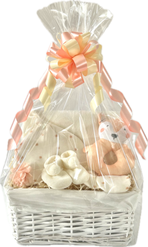 Peachy Fox Baby Gift Basket
