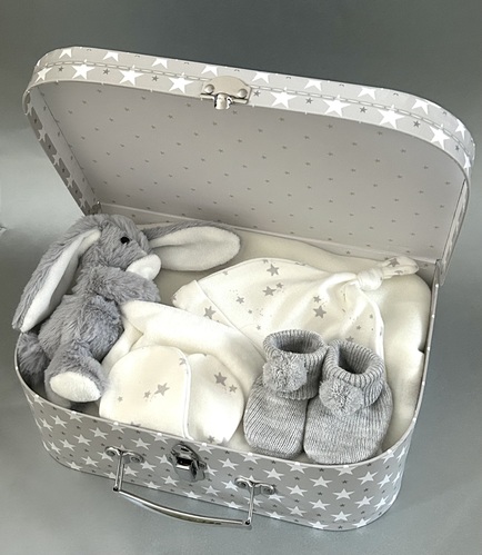 Grey Bunny Baby Suitcase - Design B - Large