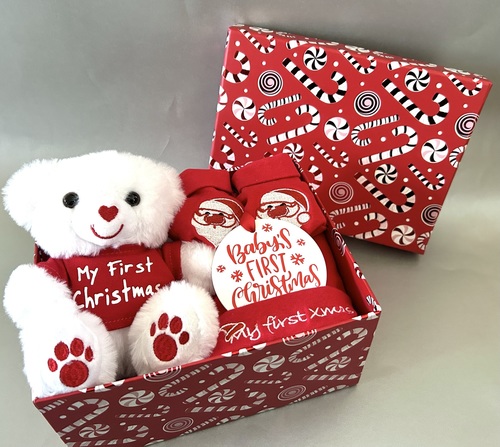 Christmas Bear Gift Box - Red Santa