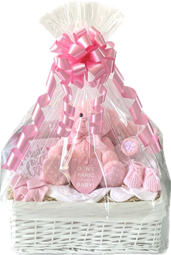 Luxury Baby Girl Gift Basket